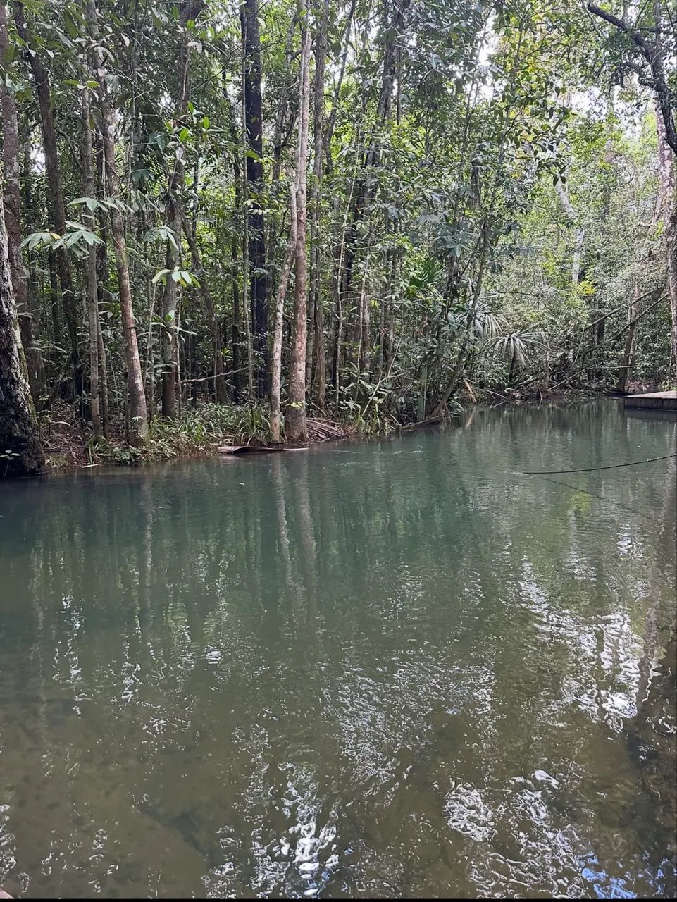 Vende-se sítio - 150m x 700m 