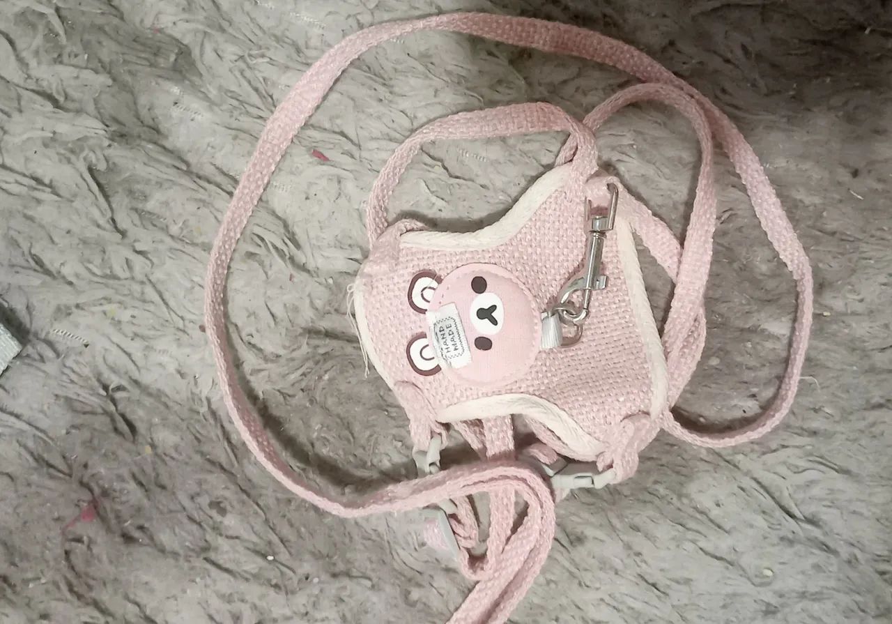 Acessórios para gatos - Foto 2