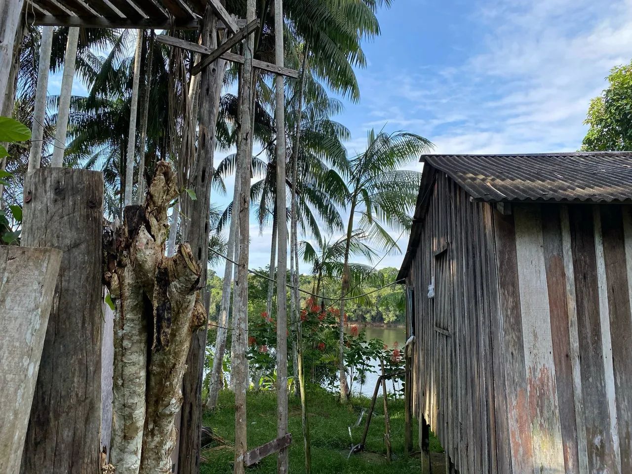 Sítio produtivo no Rio Uatumã  - Foto 3