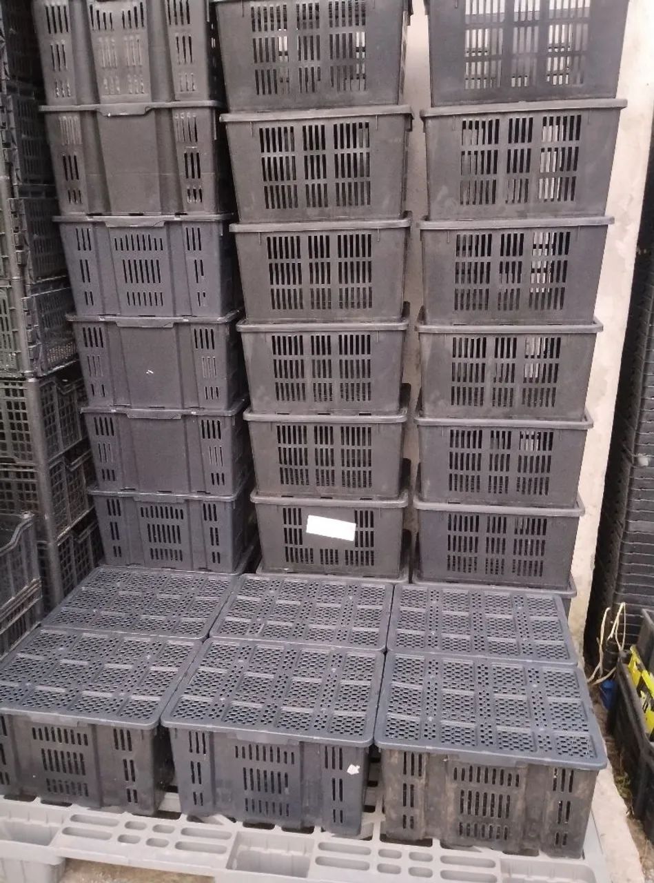 Caixas organizadora e paletes de plástico.. - Foto 5