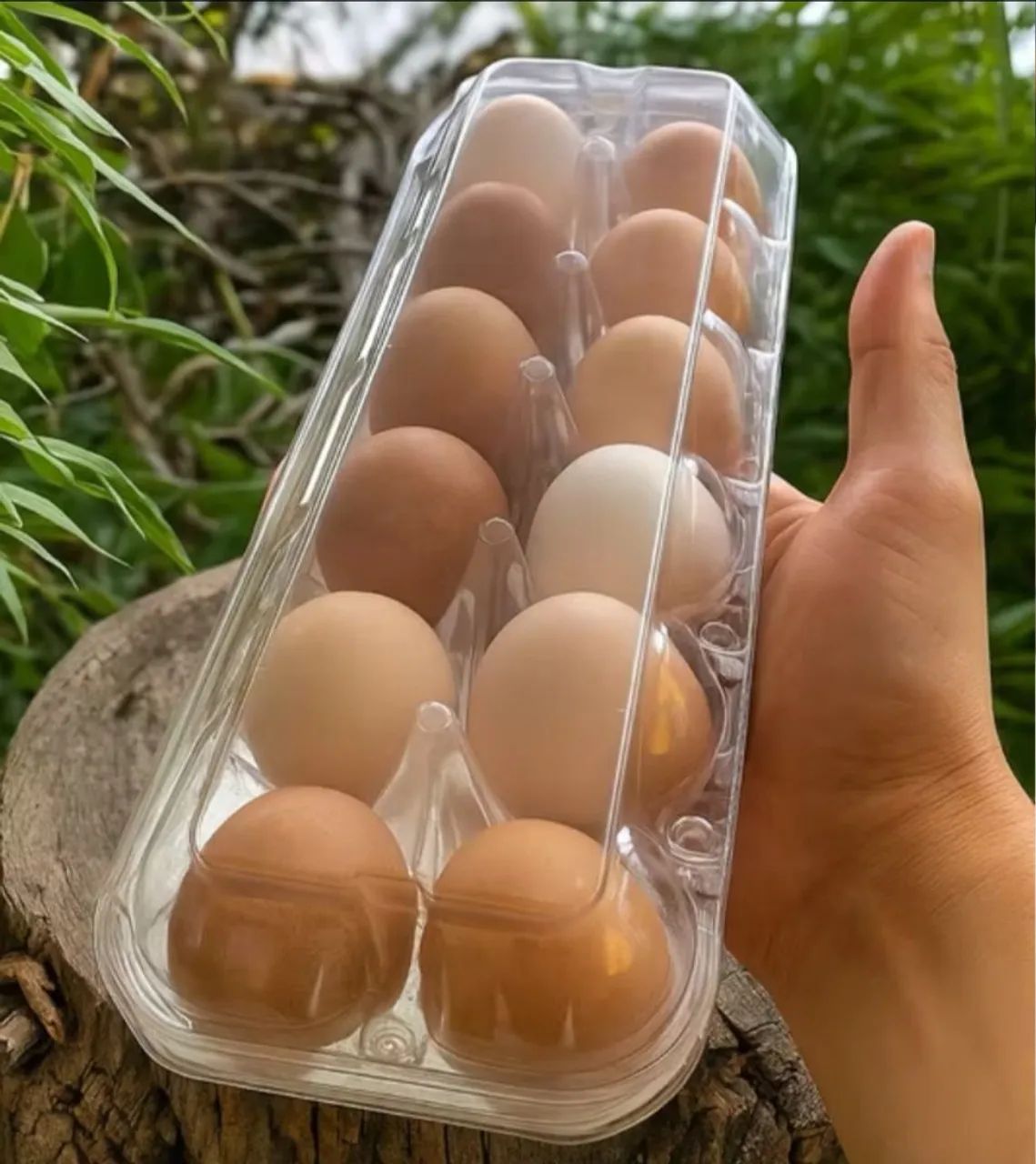 Ovos caipira  - Foto 5