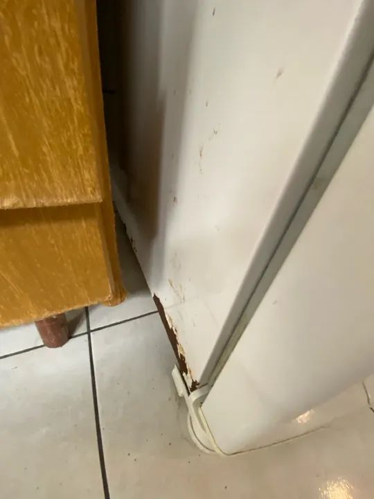 Geladeira Consul Frost Free CRM45/49 - BipLex - Foto 2