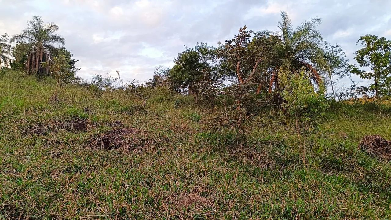 5 hectares em mateus leme  - Foto 3