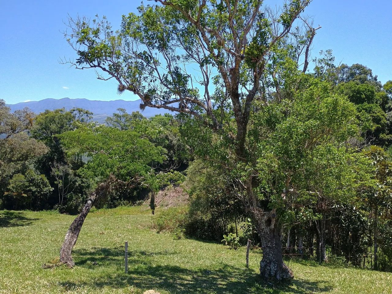 ANITÁPOLIS/SC - Belíssimo terreno para seu sítio! - Foto 3