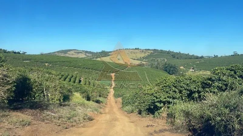 Fazenda - São Lourenço - Zona Rural - Foto 2