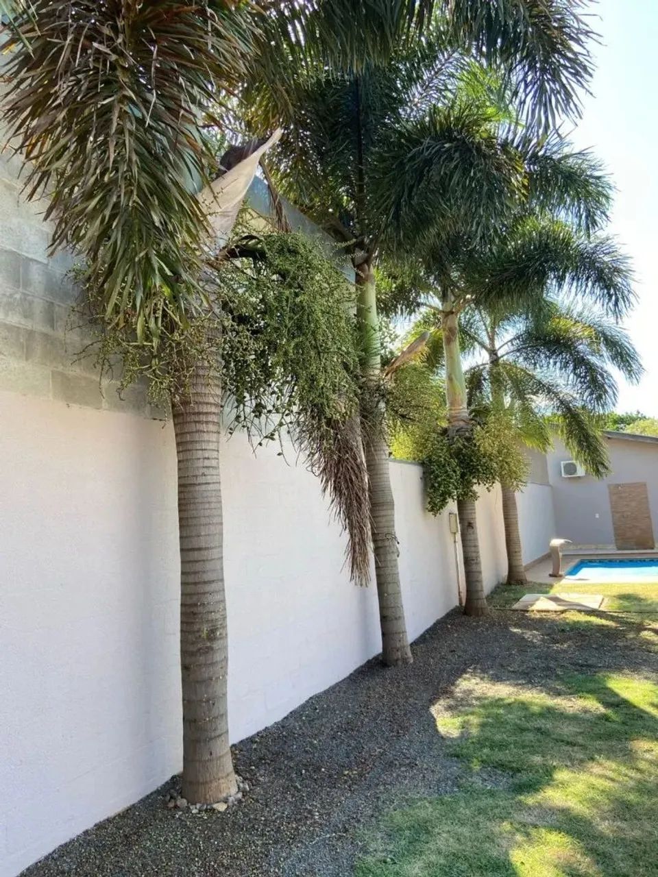 Chácara com 2 quartos para alugar por R$ 4000.00 à venda por R$ 450000.00, 234.70 m2 - JAR - Foto 2