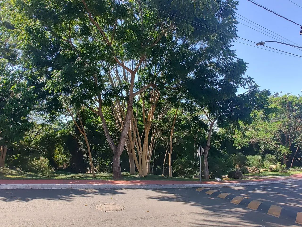 Lote em Condomínio 520m². Oportunidade!!! - Foto 5