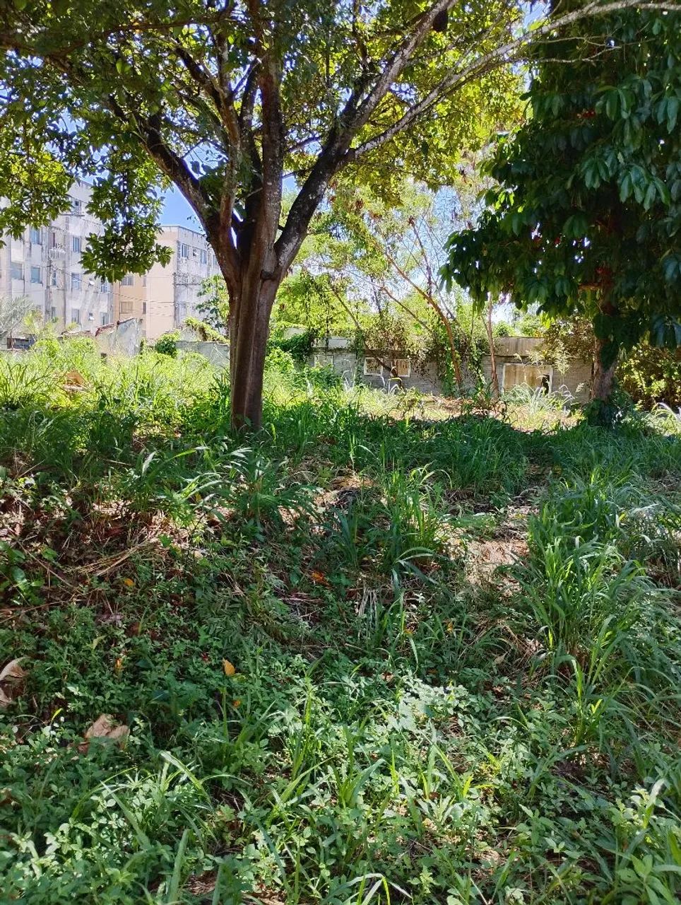 Vendo Terreno na Estrada do Côco 