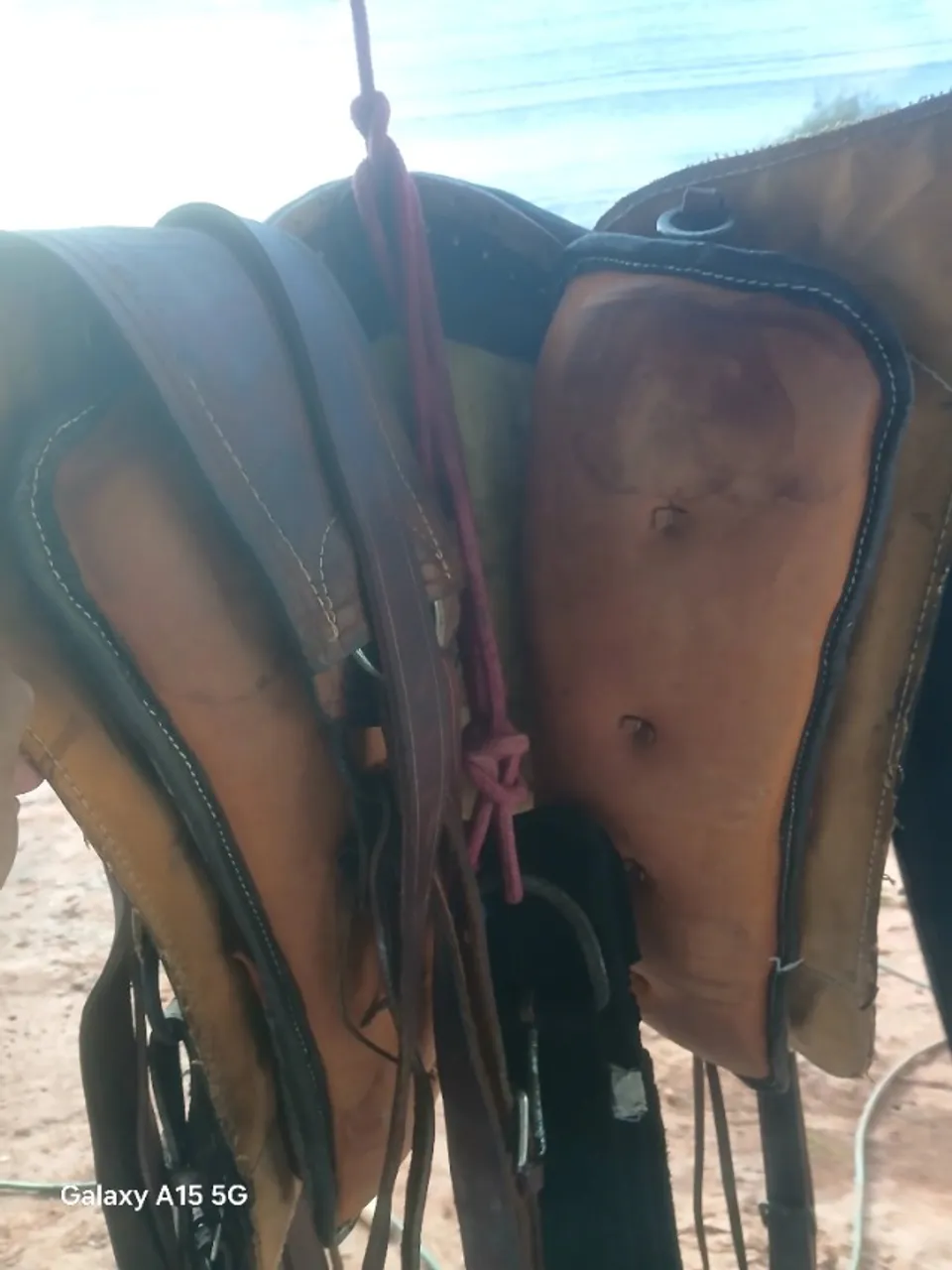 Arreios para cavalos