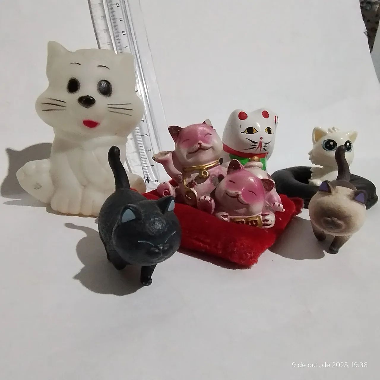 Lote 183, Gatinhos Diversos. - Foto 3