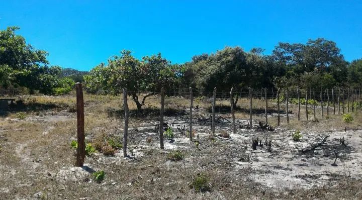 2 LOTES 50x30 (PARCELO) - Foto 4