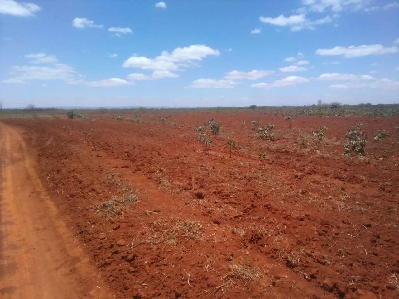 Fazenda em América Dourada - Foto 3