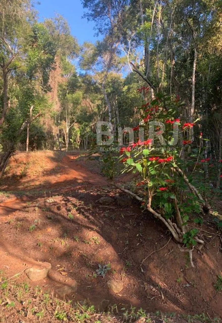 Araras, Petrópolis RJ. 11 lotes no Vale das Videiras. Rodeada por exuberante natureza, ide - Foto 2