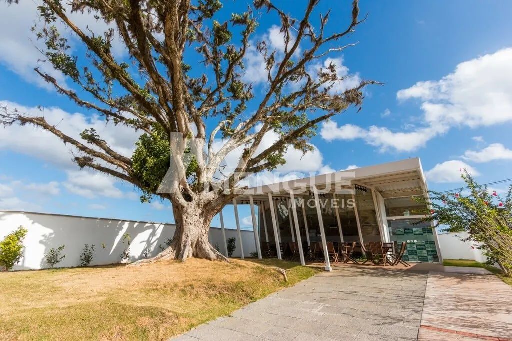 Terreno Bairro Lomba do Pinheiro - Foto 6