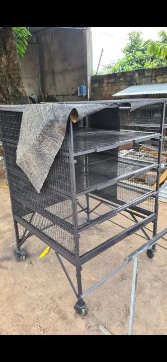 Vende se esse pinteiro