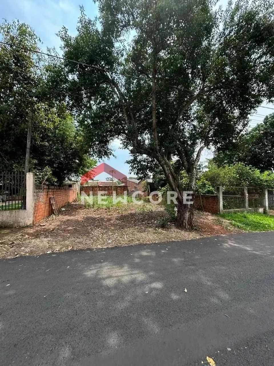 Lote em Rua Paulo Baum - Carimã - Foz do Iguaçu/PR - Foto 4