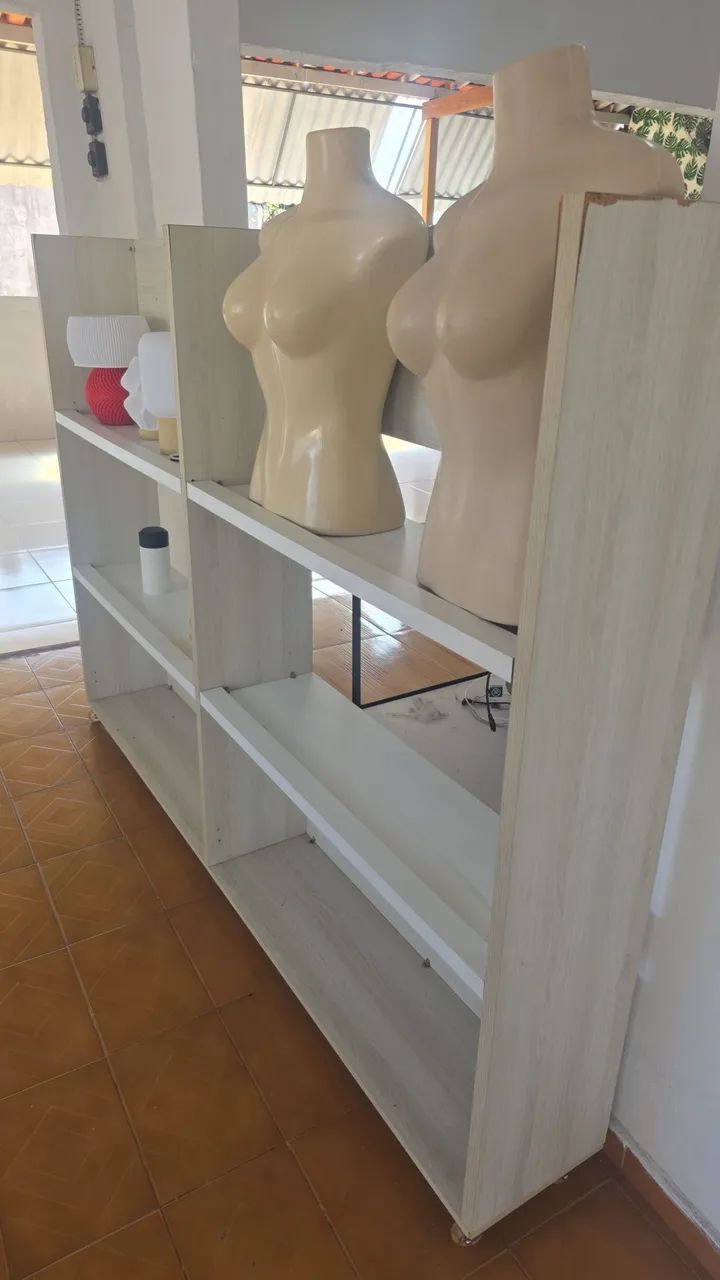 ARARA DE FERRO  - Foto 5