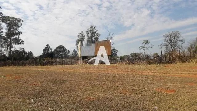Aluguel Área TOCANTINS - Foto 2