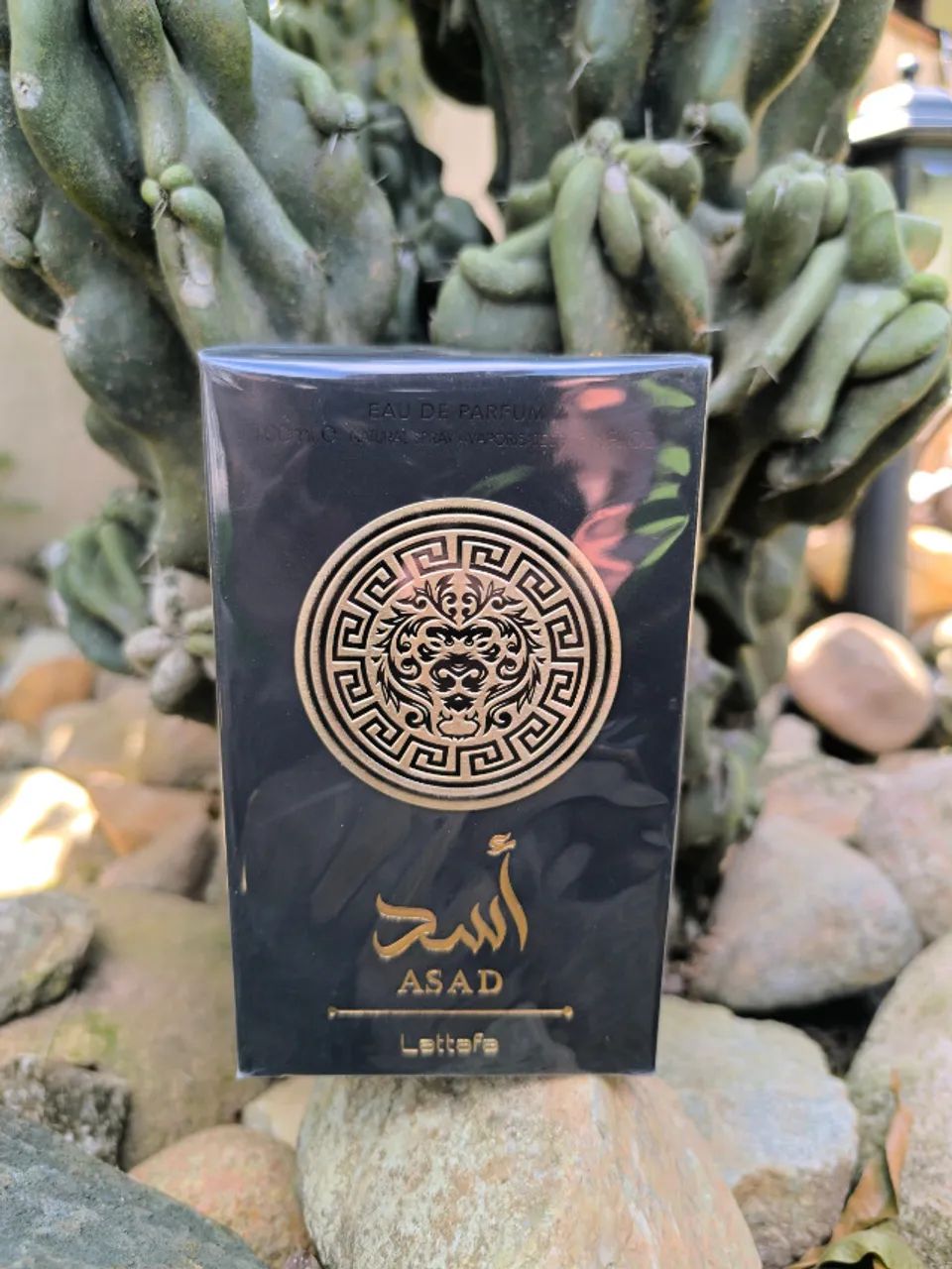 Perfume Masculino Lattafa ASAD 