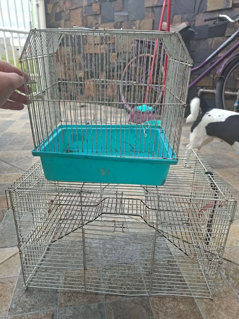 Acessórios/ Canos / Gaiola Roedores, Hamster e ratos - Foto 5