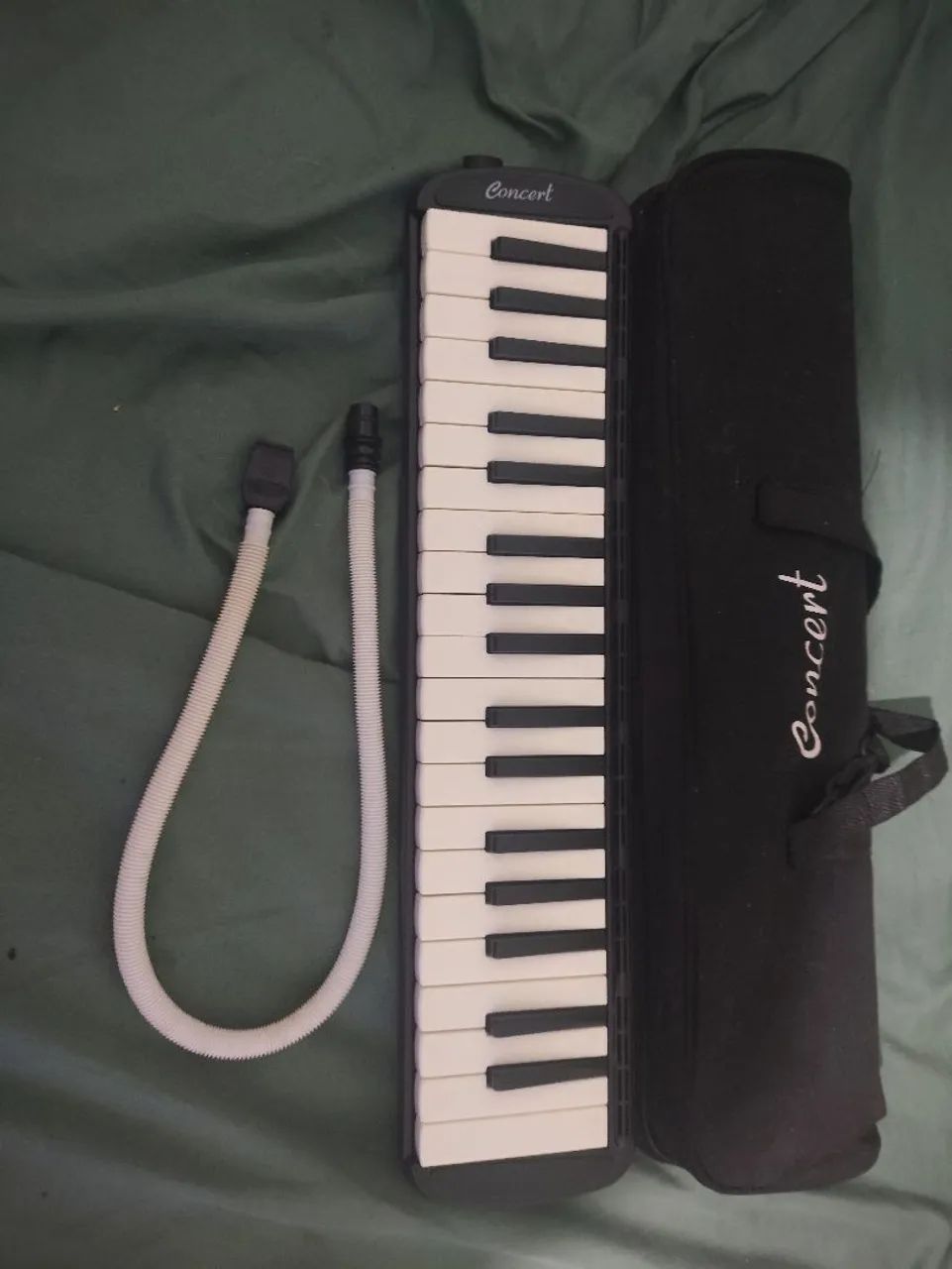 Escaleta concert