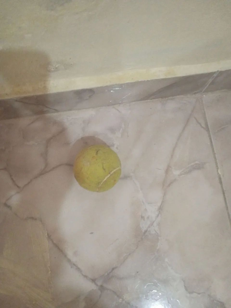 Raquete  - Foto 4