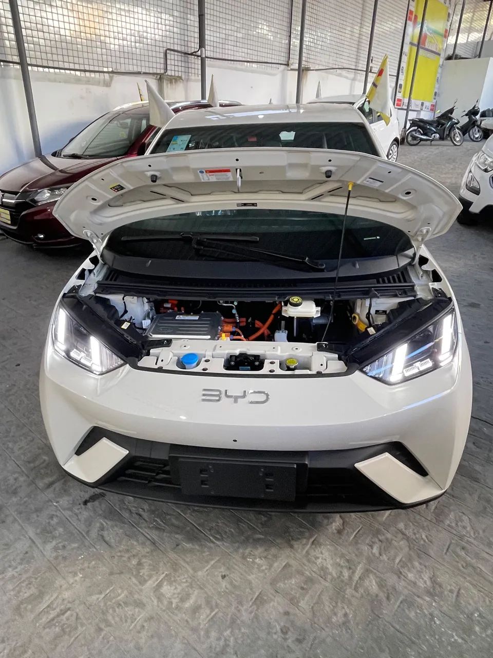 BYD Dolphin GS (Elétrico) 2027 - Foto 5