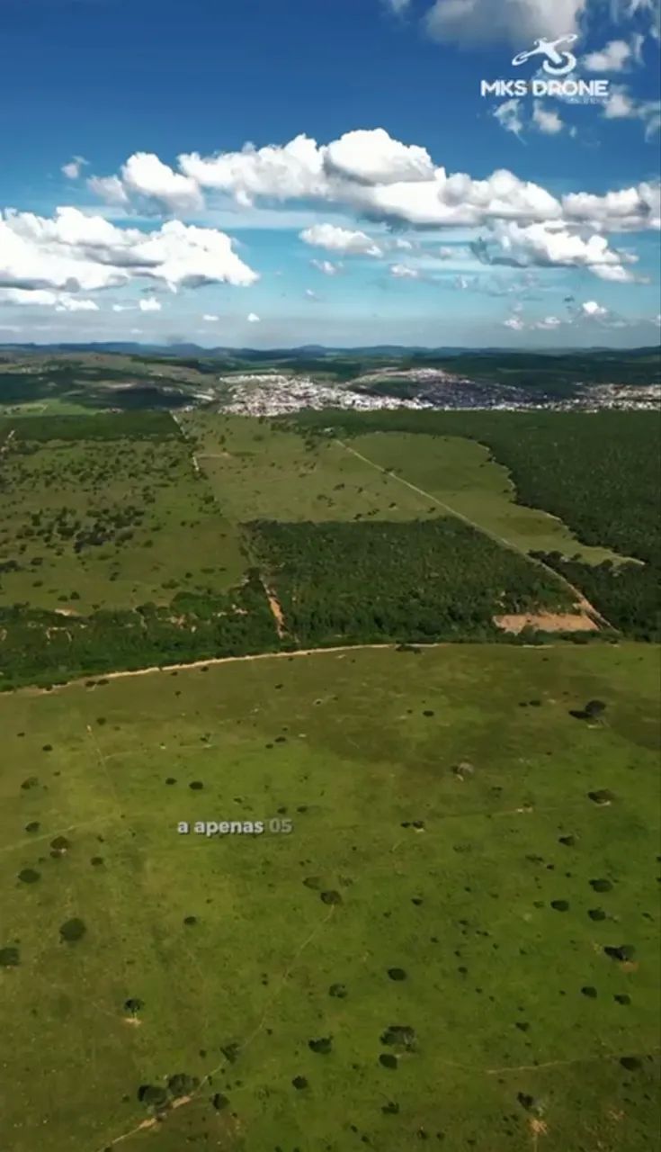 Fazenda 320 hectares (Documentada) toda no pasto e plana  - Foto 2