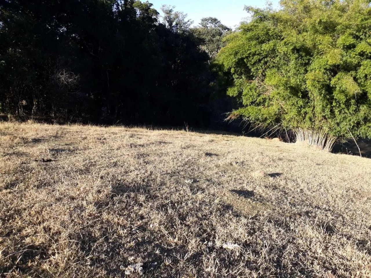 área - Pinhalzinho - Pinhalzinho - Foto 3