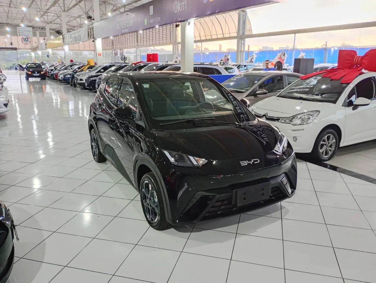 BYD Dolphin GS (Elétrico) 2027 - Foto 5