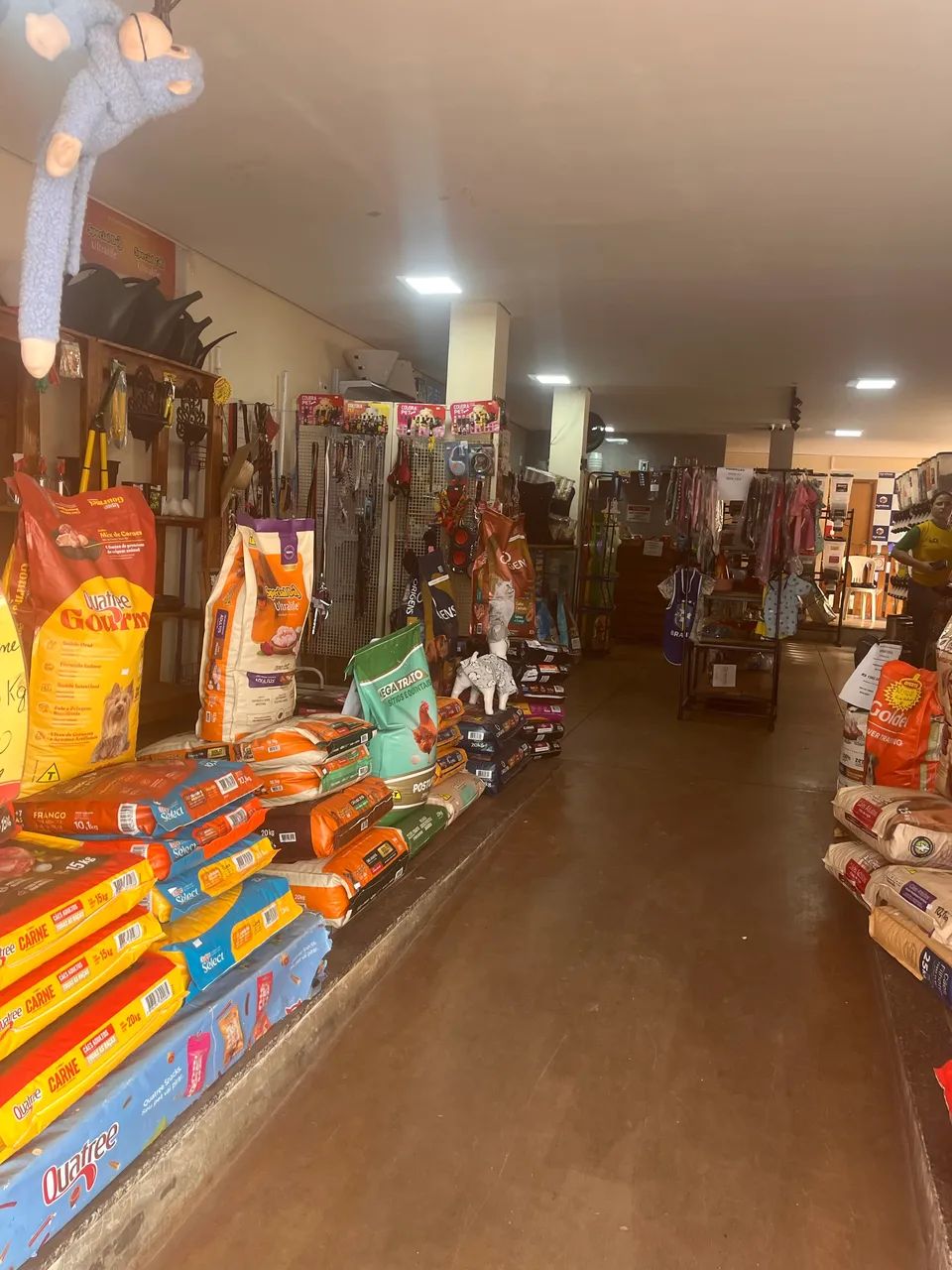 Vendo Pet shop - Foto 4