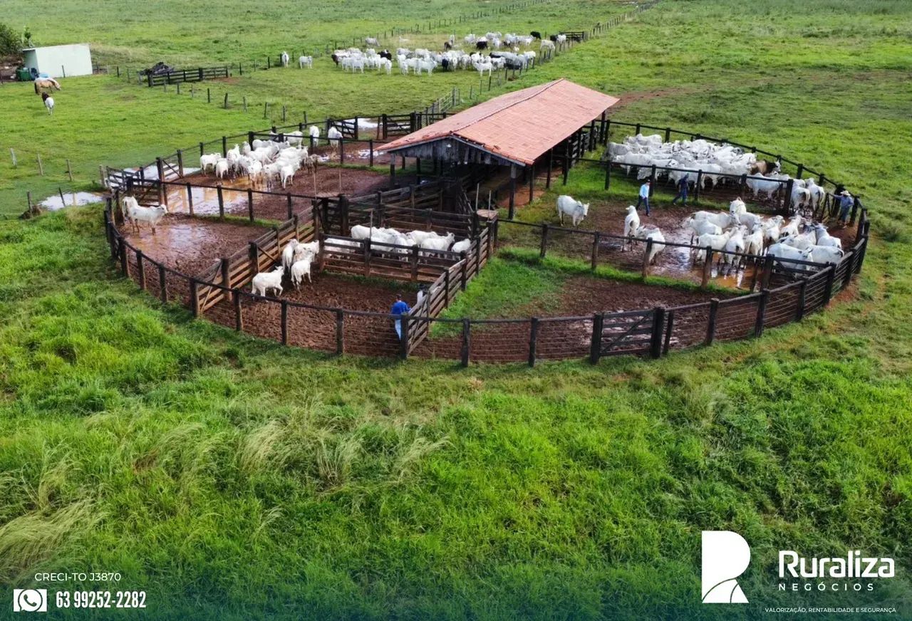 FAZENDA PRONTA PARA CRIA, RECRIA E ENGORDA | APENAS 5 KM DA CIDADE - Foto 4
