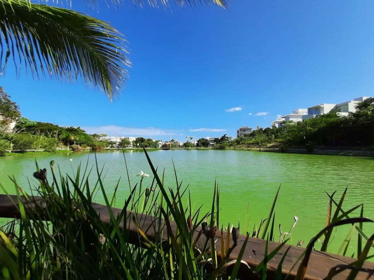Terreno à venda, Lagoa, Macaé, RJ