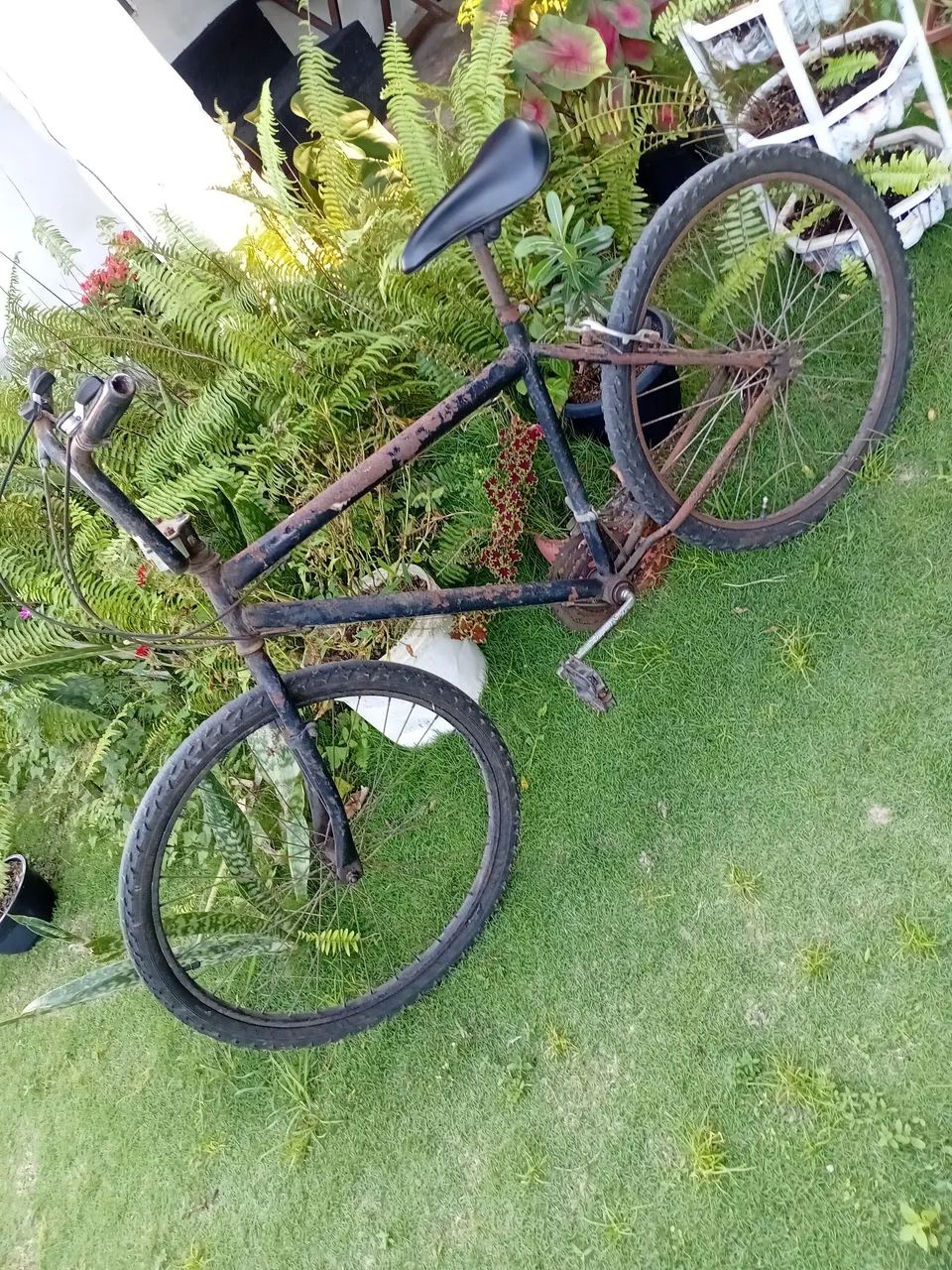 Bicicleta  - Foto 5
