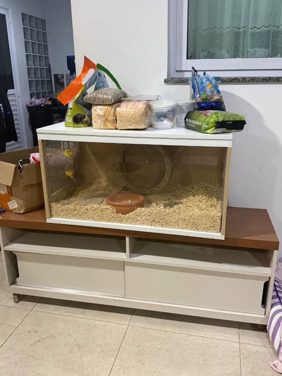 Terrario 
