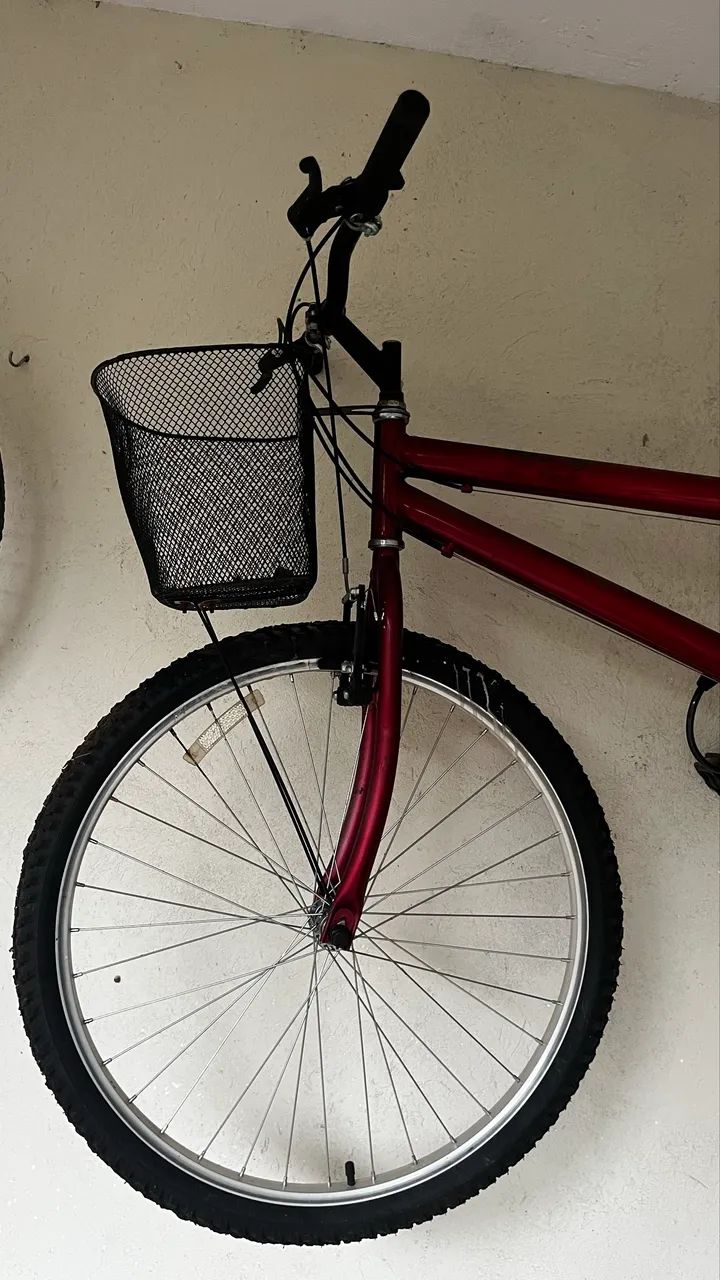 bicicleta 