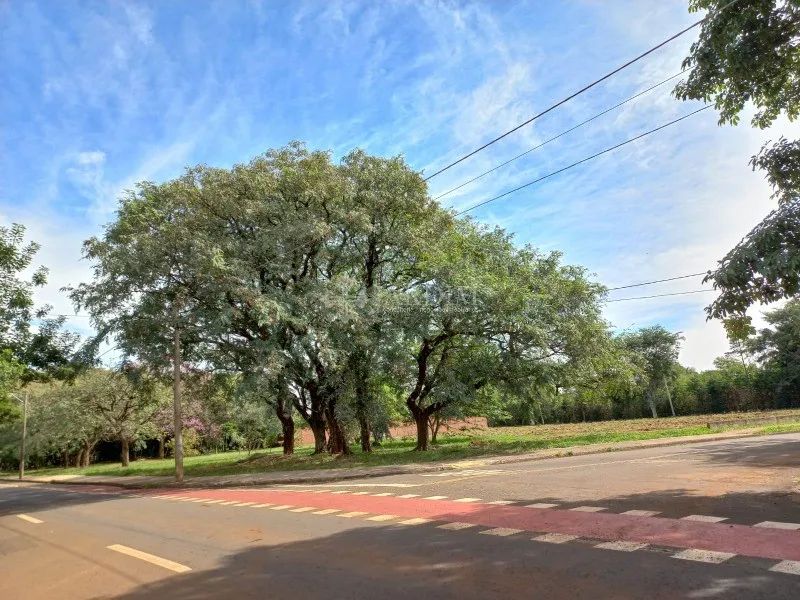 TERRENO / SANTA RITA - Foto 4