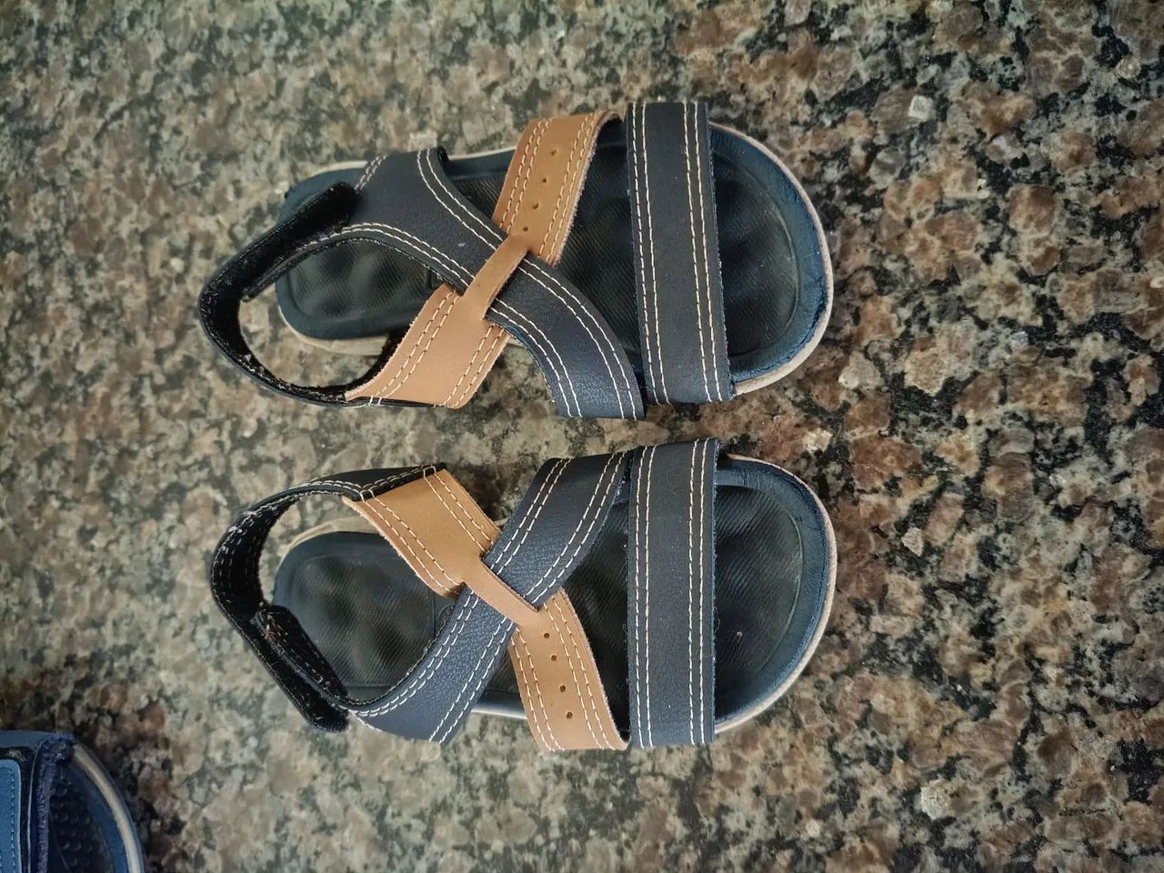 Percata masculino  - Foto 3