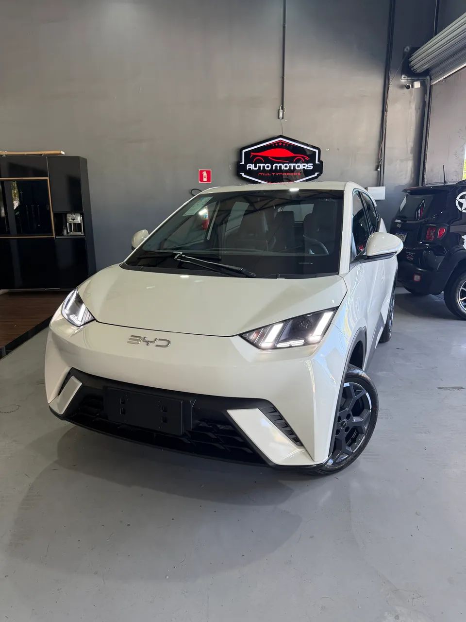BYD Dolphin Mini (Elétrico) 2027