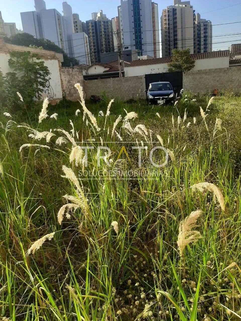 terreno - Botafogo - Campinas - Foto 3
