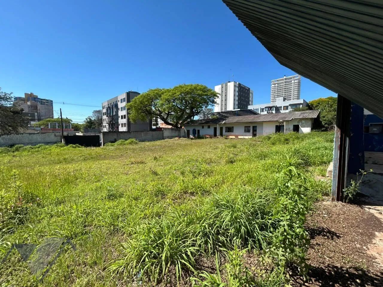 Terreno para alugar, 2447 m² no centro de Cascavel/PR - Foto 4