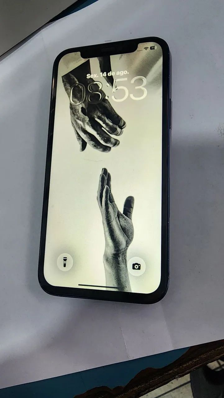 iPhone 12 264 GB, TUDO FUNCIONANDO.