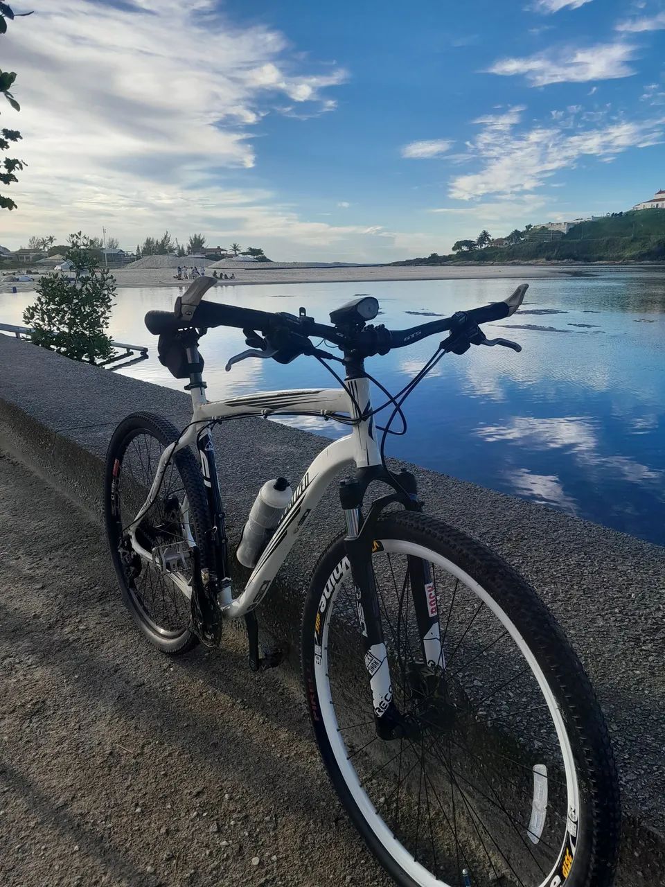 Specialized rockhopper Pro aro 29