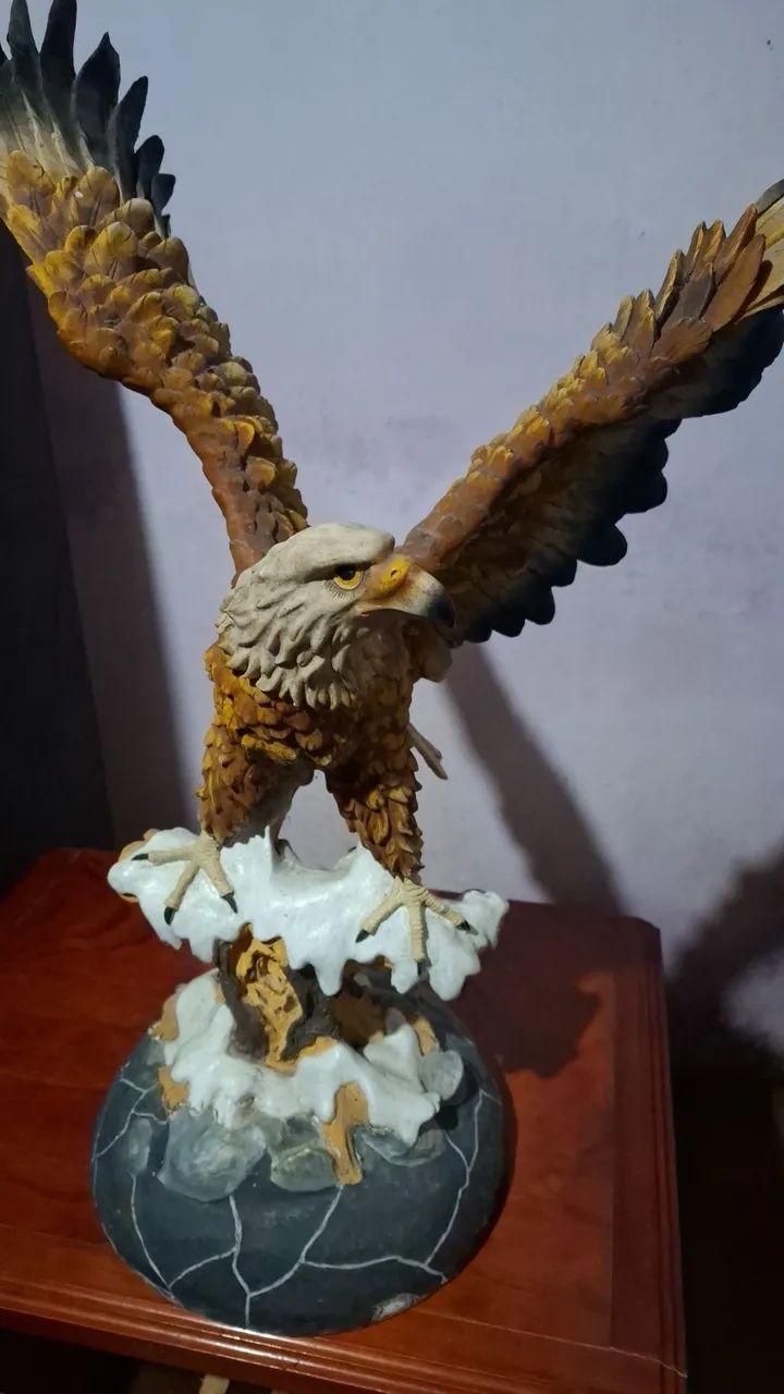 Águia   - Foto 5