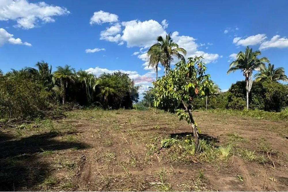 Chácara à Venda | 4.200 m² | APP | 4 km do Centro | Babaçulândia -TO - Foto 4