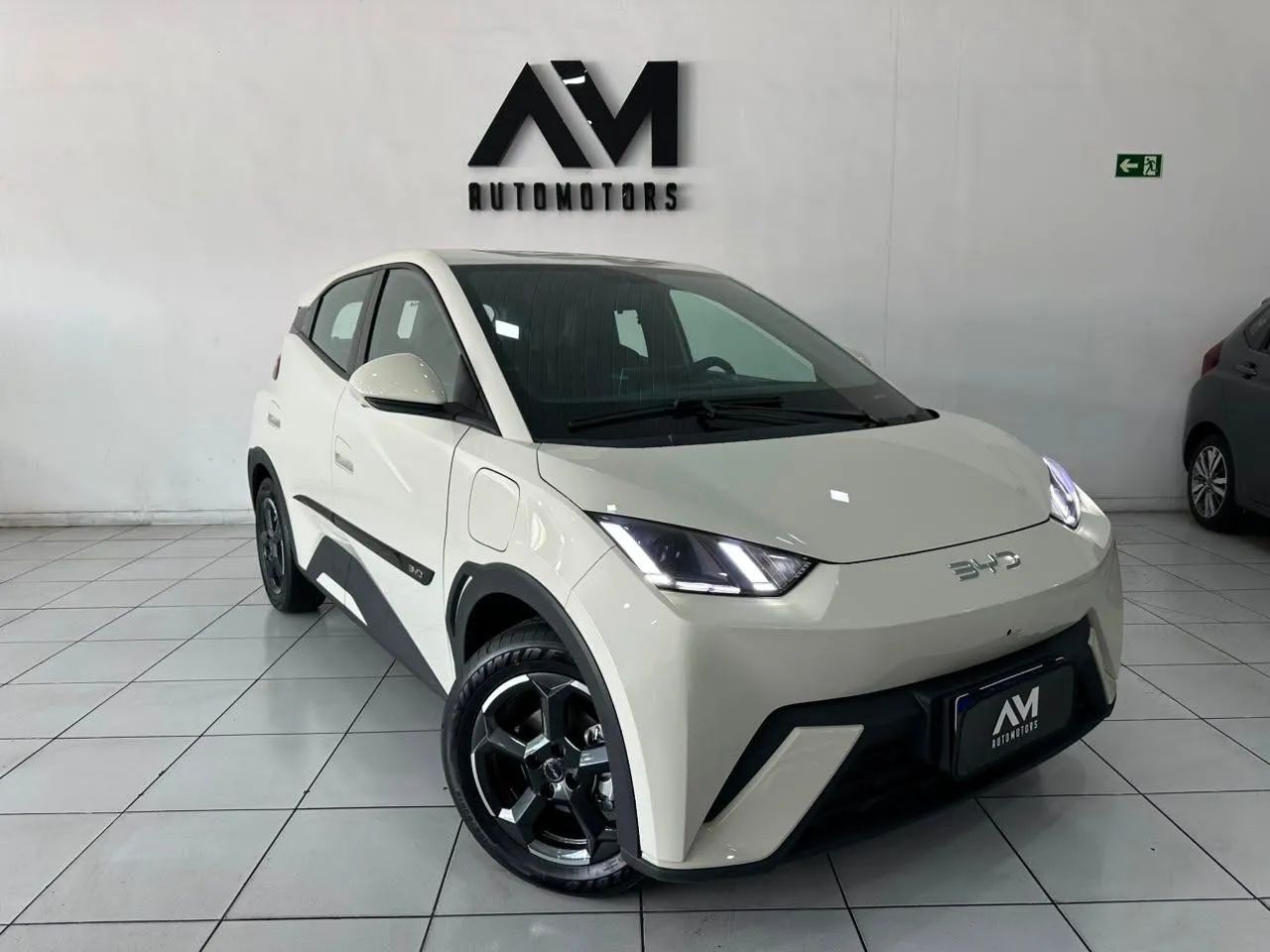 BYD Dolphin Mini (Elétrico) 2025