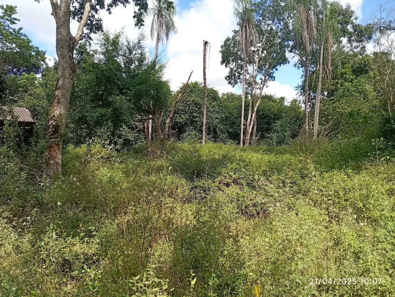 Terreno em Coxim MS- Beira do Rio - Foto 5
