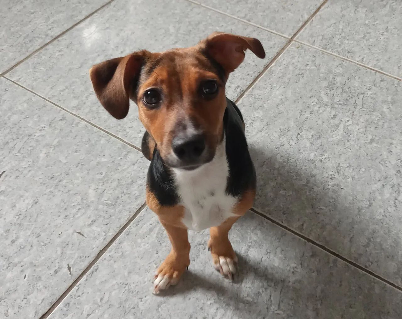 Doação responsável