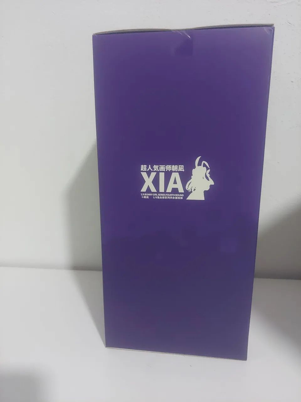 Xia bunny girl bear panda 1/6 - Foto 2
