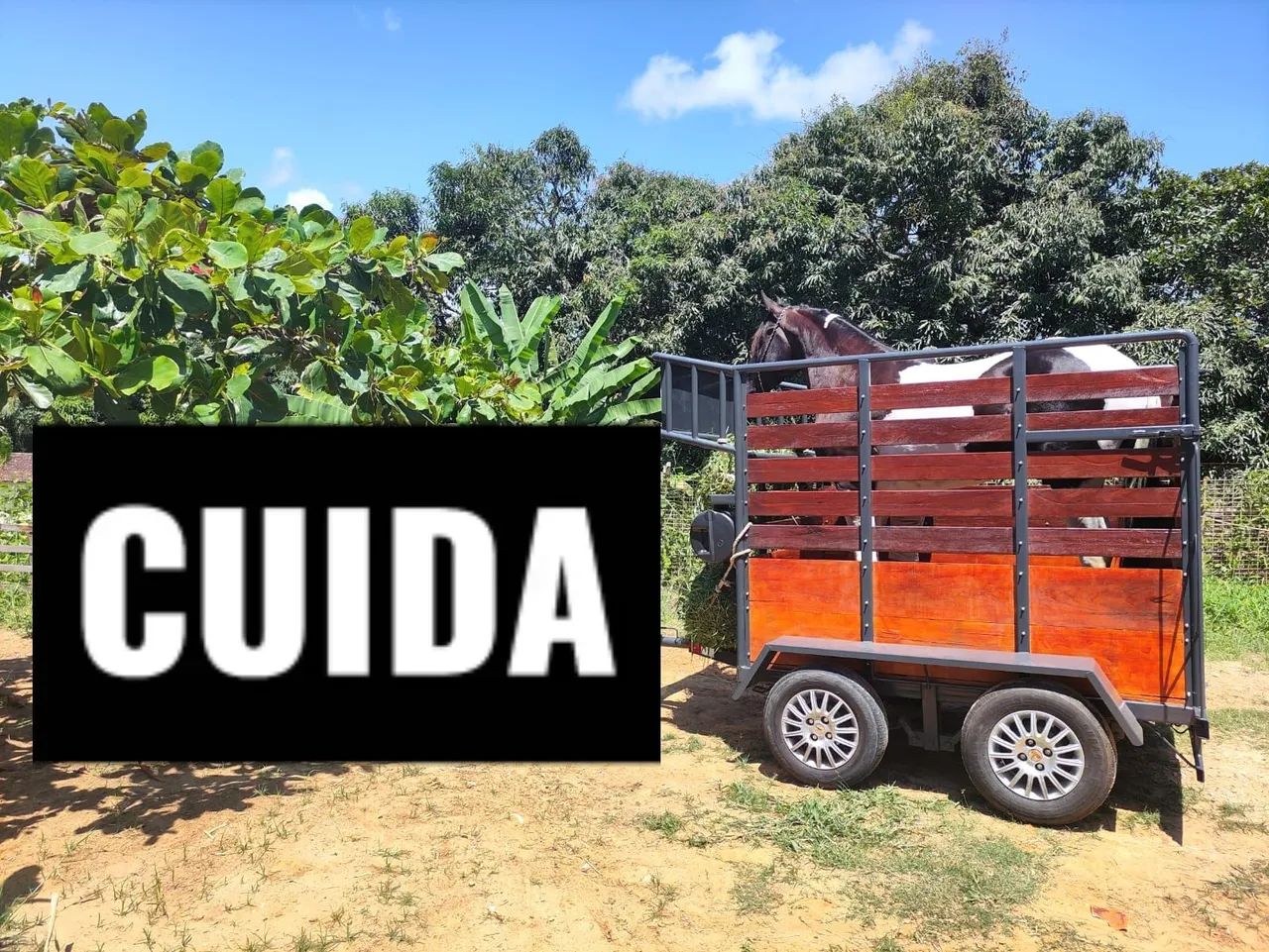 Reboque de cavalo de dois eixos luxo! - Foto 3